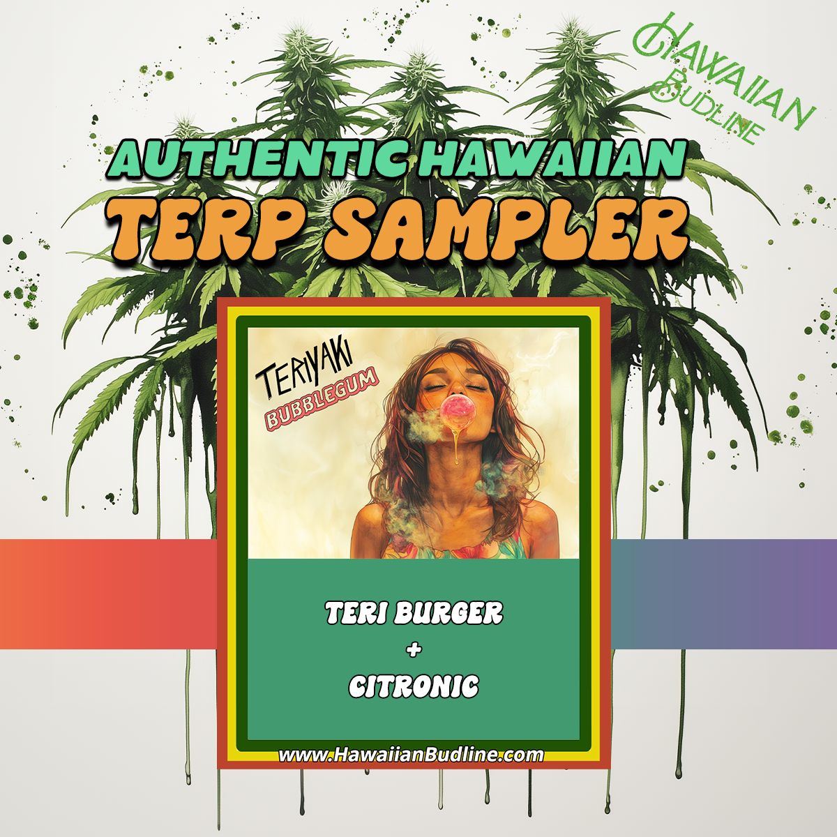TERIYAKI+BUBBLEGUM+SAMPLER.png
